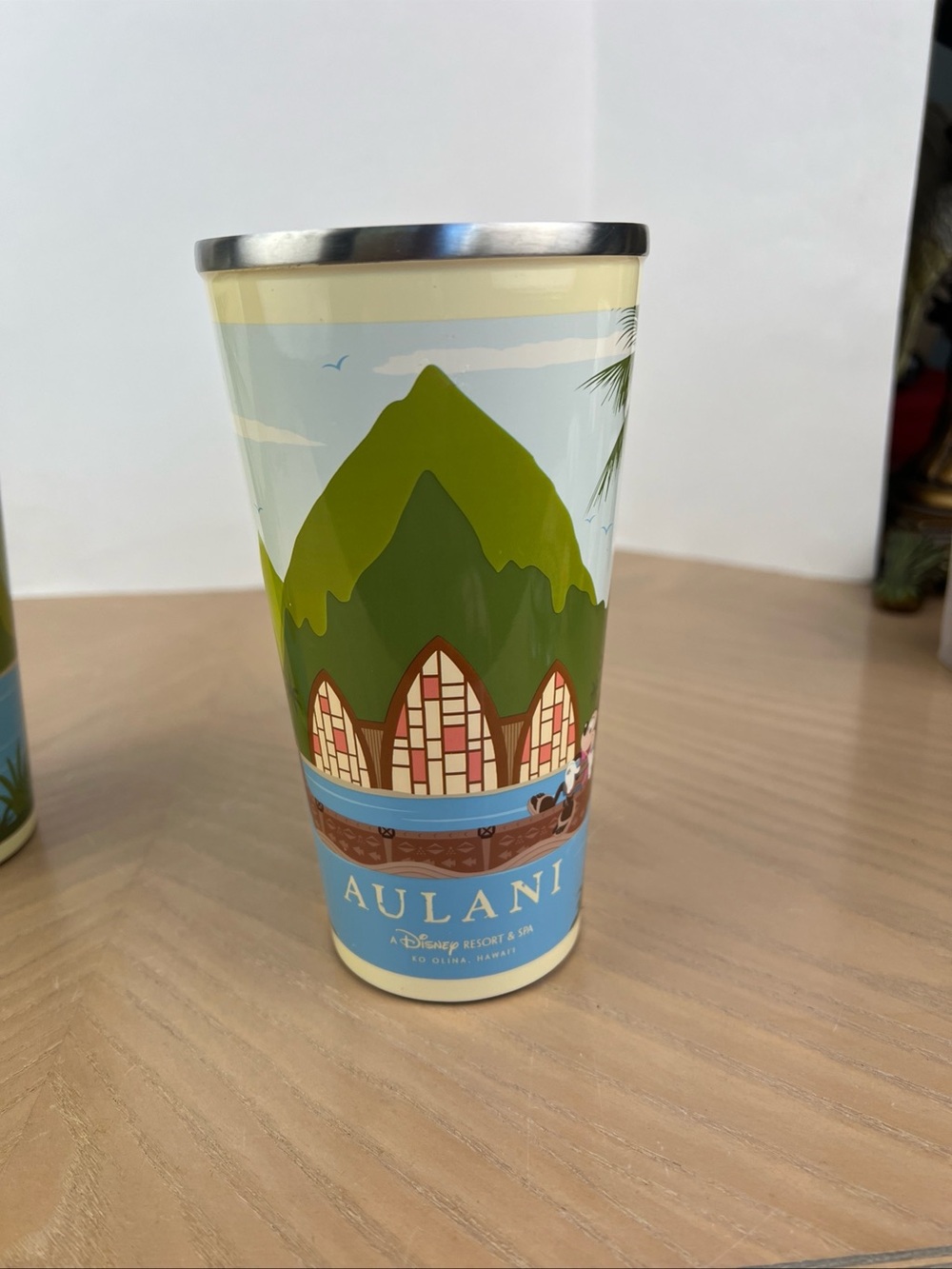 Disney Aulani Resort Spa Stainless Steel Mug Insulated 24oz Hot Cold Tumbler Cup